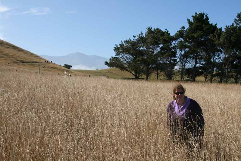 Nieuw-Zeeland 2011 - 1161